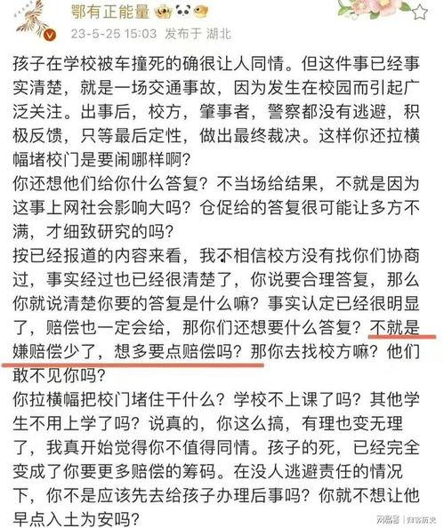 武汉被撞学生爆料案件最新,悲剧背后,校园安全谁来守护? 第3张 武汉被撞学生爆料案件最新,悲剧背后,校园安全谁来守护? 第3张