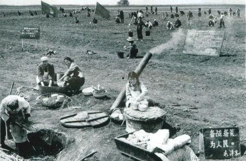 知青奇闻爆料视频大全,奇闻轶事视频大全集锦 第2张 知青奇闻爆料视频大全,奇闻轶事视频大全集锦 第2张