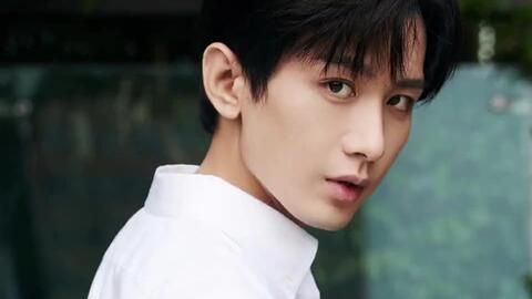 成毅单身爆料视频是真的吗,真相揭秘还是网络谣言? 第3张 成毅单身爆料视频是真的吗,真相揭秘还是网络谣言? 第3张